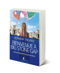 Bienvenue-à-big-stone-gap+3D